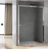 Ronal Sanswiss Arelia drzwi prysznicowe 120 cm srebrny polerowany D20S21204007